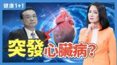 [ID: 4mVu6i7b7zY] Youtube Automatic