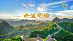 [ID: 7eOMdFrlXII] Youtube Automatic