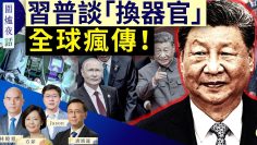 [ID: eqnTb56wSEw] Youtube Automatic