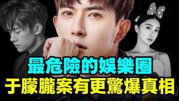 私密：[ID: Li-8Nx4ZqWA] Youtube Automatic