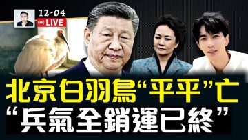 私密：[ID: AXbTfBg5p6c] Youtube Automatic